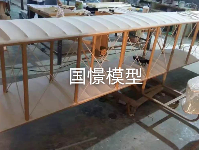 海兴县飞机模型