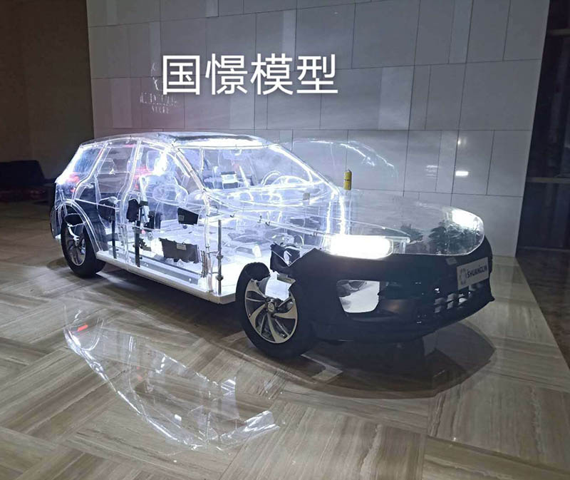 海兴县透明车模型